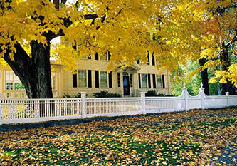 YARD FENCING